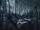 Burzum - Hlidhskjalf [VINYL]