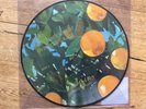 Lana Del Rey Pictures Vinyl LP Violet Bent Backwards Over The Grass Limited