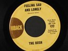 BUSH: feeling sad and lonely / got love if you want it HIBACK 7