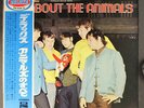 ANIMALS: all about the animals ODEON 12