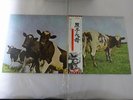 Pink Floyd Atom Heart Mother Harvest EMS-80320 Japan  VINYL LP OBI