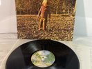 LP Allman Brothers Band - Brothers and Sisters | 1973 Japan Press | NM/M