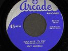 JOEY MICHEALS: sixteen cats / too blue to cry ARCADE 7