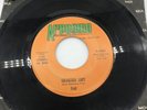 FRED A Love Song / Salvation Lady 45 PA Acid Jazz Fusion Psych Prog Arpeggio