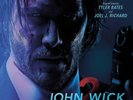 TYLER BATES - JOHN WICK CHAPTER 2(LP) Vinyl LP