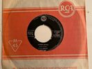 Elvis Presley  Money Honey