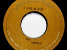 DARVELS Doo Wop 2 Sided METAL ACETATE 45rpm Gone b/w I Lost My Baby HEAR