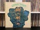 ULTIMATE SPINACH self titled 1968 MGM 4519 Psych Vinyl Lp VG