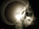 Johnny Cash - Luther Played The Boogie X-RAY OF USSR X-RAY BONE RECORD
