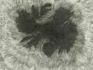 OPAL HUSH aka RYAN ANDERSON - Remote Viewer - Vinyl (LP)