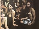 The Jimi Hendrix Experience Electric Ladyland Vinyl LP Record Polydor 23101270