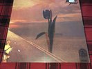 NEW PRETTY THINGS PARACHUTE LP RARE Sealed NEVER Opened RS515 NO BAR CODE