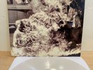 RAGE AGAINST THE MACHINE  S/T WHITE Color Vinyl Record LP Inside Out sXe Prophet