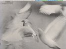 Donald Byrd Free Form Blue Note LP NY