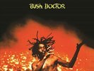SALE  Peter Tosh ‎– Bush Doctor VINYL LP NEW SEALED