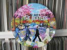 The Beatles - Something (Studio Demo  Audio) Rare 12