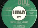 Haunting Doo Wop Vocal Group 45 THE KEYNOTES I Want Your Love DIAL hear