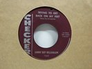 Sonny Boy Williamson-Trying To Get Back On My Feet/Decoration Day-Blues-7