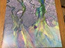 Alt J An Awesome Wave 12” White LP Vinyl
