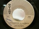 DOOWOP/R & B SATINTONES MOTOW 1006 TOMORROW & ALWAYS/A LOVE THAT CAN NEVER BE