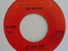 The Poppies,My Love And I / There's A Pain In My Heart.7
