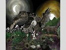Avatar - Feathers & Flesh [New Vinyl LP]