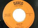 DAVCO Records Buddy Hall Wake Up Southern Gospel Rockabilly Jay Davis Rare 45
