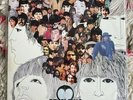 The Beatles Vinyl Revolting Sapcor Rare LP