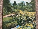Marion Brock- The Next Step: Rare Private Press Lp