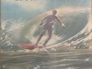 STILL SEALED - The Beach Boys ?– '20 Golden Greats' 12