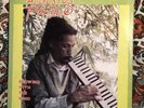 Augustus Pablo Blowing With The Wind Vinyl LP First Pressing Jamaica VG+/VG+
