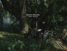 Sarah Davachi - Cantus, Descant Vinyl LP Indies Clear New 2020