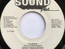 BRIEF ENCOUNTER Human/Total Satisfaction MODERN SOUL 45 DJ hear