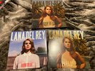 Lana Del Rey ?– Born To Die (The Paradise Edition) Limited Ed. Box Set Slipcase