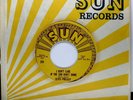 ELVIS PRESLEY MultiColor REPRO 45rpm Good Rockin Tonight b/w I Don't Care If HEA
