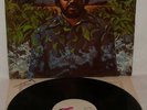 LONNIE LISTON SMITH Visions Of A New World FLYING DUTCHMEN 1975 LP VG++