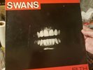 Swans- Filth- 12