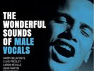 AP | The Wonderful Sounds Of Male Vocals 2LPs