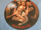 MINT UNPLAYED Rose Tattoo Scarred For Life  Album Picture Disc LP 1982