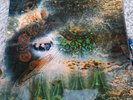 Pink Floyd - A Saucerful Of Secrets LP Vinyl Record SCX6258 Rare  Pressing