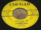 RARE BLUES ROCKER JOHNNIE WESS: Can't Put Her Down / How Glad I Am 45 COUGAR