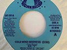 Electro Funk Rap 45 ICE T Cold Wind-Madness Saturn NM OG HEAR