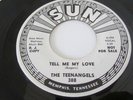THE TEENANGELS RARE SUN LABEL PROMO 45 SOUL DOO WOP TEENER TELL ME MY LOVE