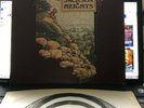 Jackson Heights Ragamuffins Fool, orig UK 1st.press Prog swirl 1972 + POSTER