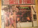 Smell of Female by The Cramps (Vinyl, Apr-2011, Big Beat UK) Rock Punk Psychotic