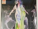 Bjork - Vulnicura Strings   2015 Double Vinyl Record 12