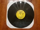 SUBLIME LIVE TEST PRESS LP STAND BY YOUR VAN 12