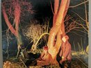 Echo and the Bunnymen - Crocodiles Vinyl (SRK 6096) VG++
