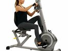 Recumbent Bike SF-RB4631 with Arm Exerciser, 350lb,Gray Fast shipping from usa