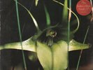 Psychic TV - Dreams Less Sweet -  Some Bizzare LP + Limited Edition 3 track 12